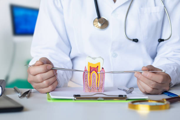 Best Orthodontic Emergency Dentist in Miles, TX